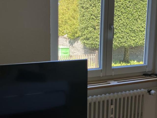1 Zimmer, 16 m², EG