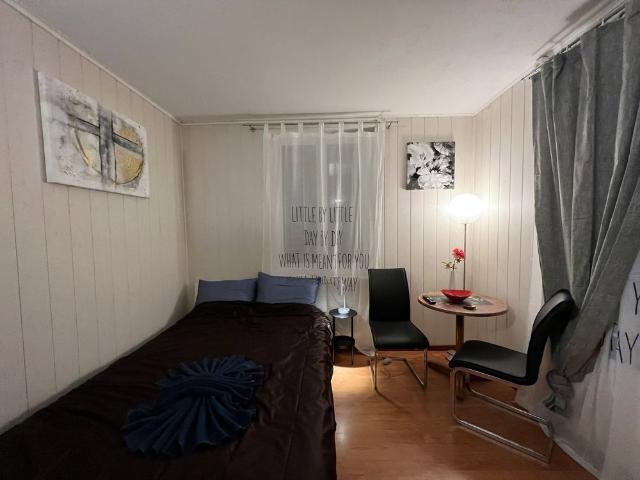 1 Zimmer, 16 m², EG