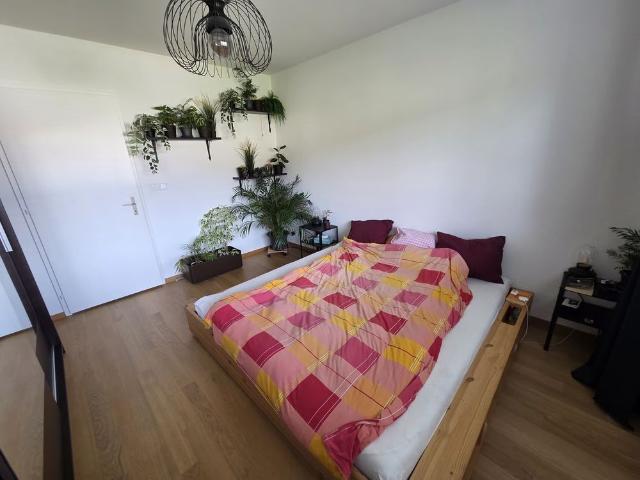 1 Zimmer, 16 m², Untergeschoss