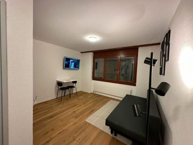 1 Zimmer, 18 m², Untergeschoss