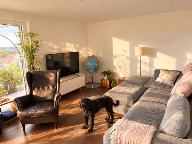 1 Zimmer, 19 m², EG