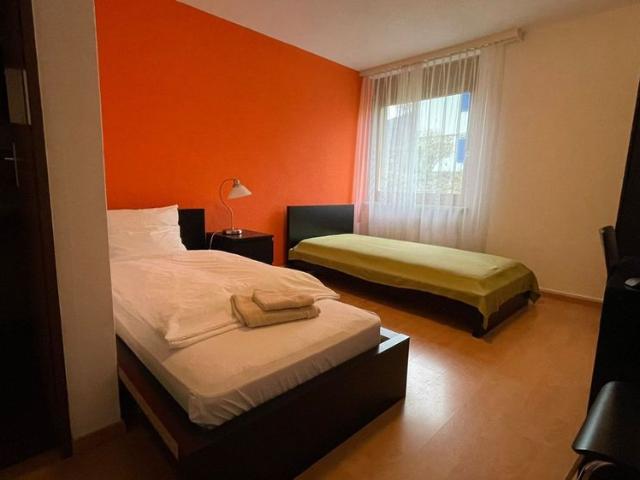 1 Zimmer, 20 m², EG