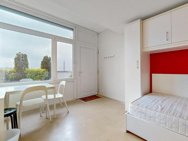 1 Zimmer, 20 m², EG