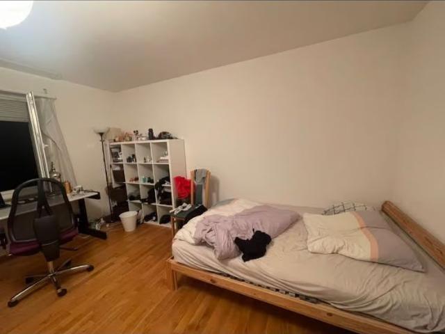1 Zimmer, 20 m², EG