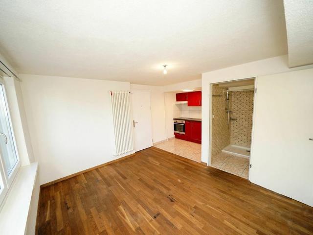 1 Zimmer, 20 m², EG
