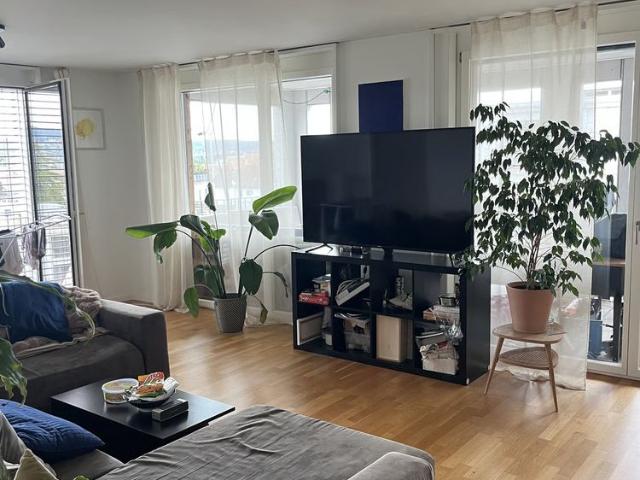 1 Zimmer, 20 m²