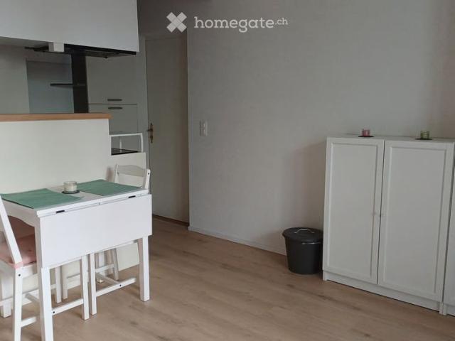1 Zimmer, 20 m²