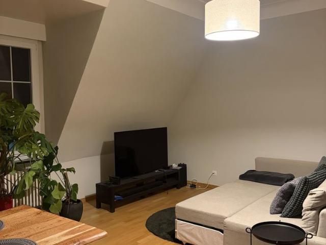 1 Zimmer, 20 m²