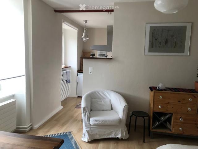 1 Zimmer, 20 m²
