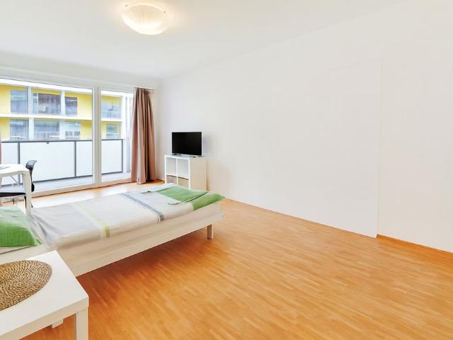1 Zimmer, 20 m², 2. Stock