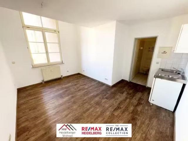 1 Zimmer 20 m² 410 € Kaltmiete Wohnungen in Hockenheim