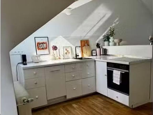 1 Zimmer 20 m² 600 € Kaltmiete Wohnungen in Baden Württem.
