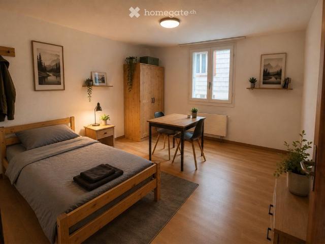 1 Zimmer, 20 m²
