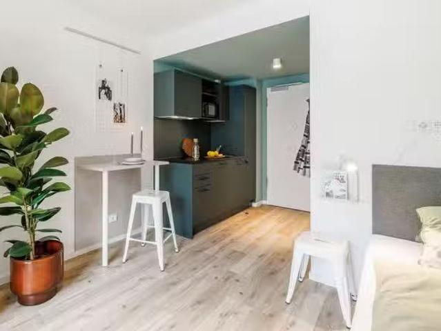 1 Zimmer 20 m² 718 € Kaltmiete Wohnungen in 67061 Ludwigs.