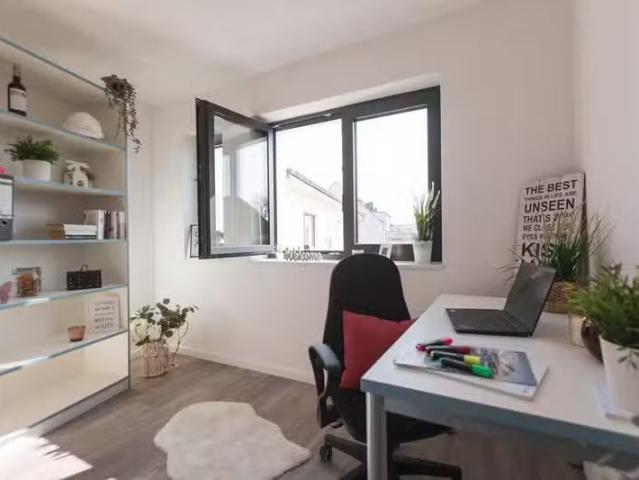 1 Zimmer 20 m² 800 € Kaltmiete Wohnungen in Karlsruhe