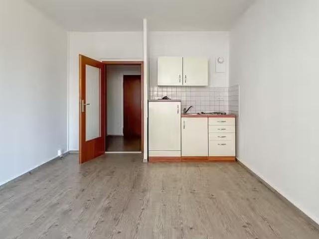 1 Zimmer 27 m² 190 € Kaltmiete Wohnungen in Chemnitz