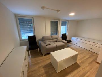 1 Zimmer, 24 m², EG