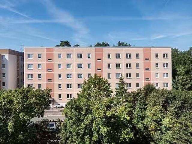 1 Zimmer 24 m² 150 € Kaltmiete Wohnungen in Bernsdorf