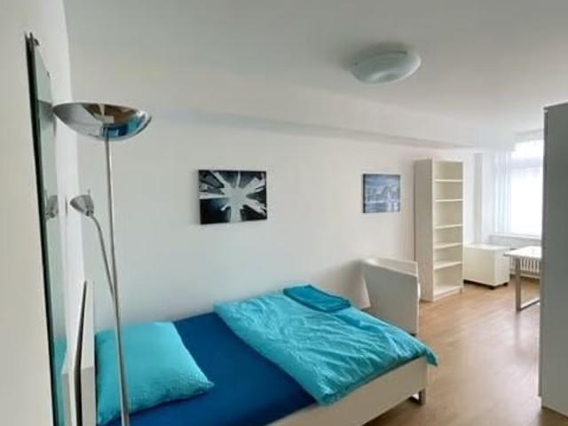 1 Zimmer, 24 m²