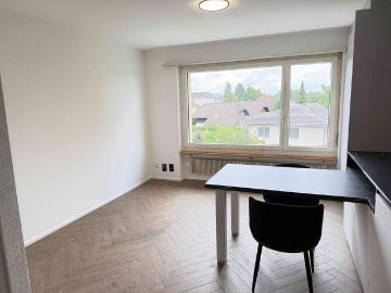 1 Zimmer, 24 m², 2. Stock