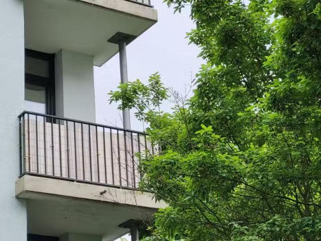 1 Zimmer 24 m² 420 € Kaltmiete Wohnungen in Regensburg