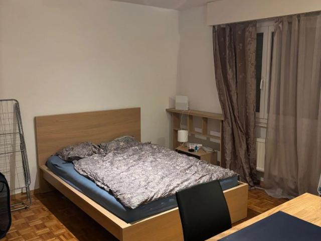 1 Zimmer, 25 m²