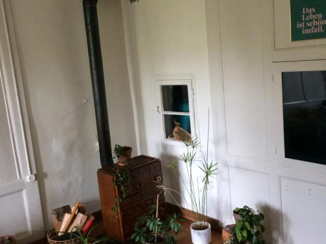 1 Zimmer, 25 m²