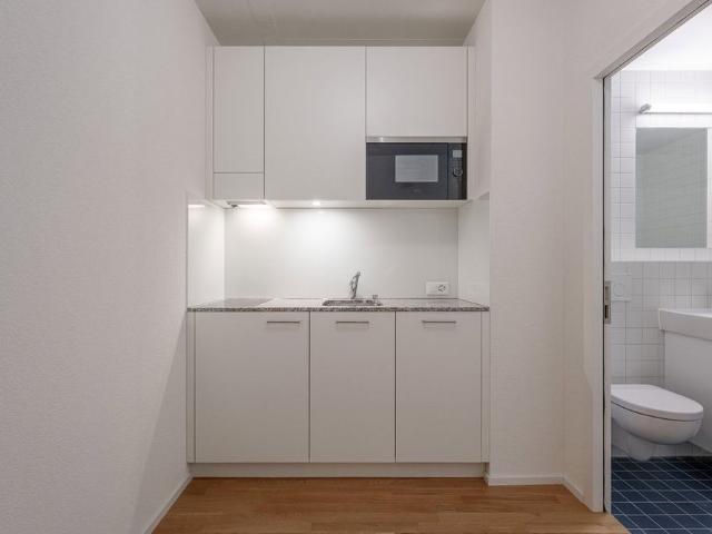 1 Zimmer, 25 m², 5. Stock