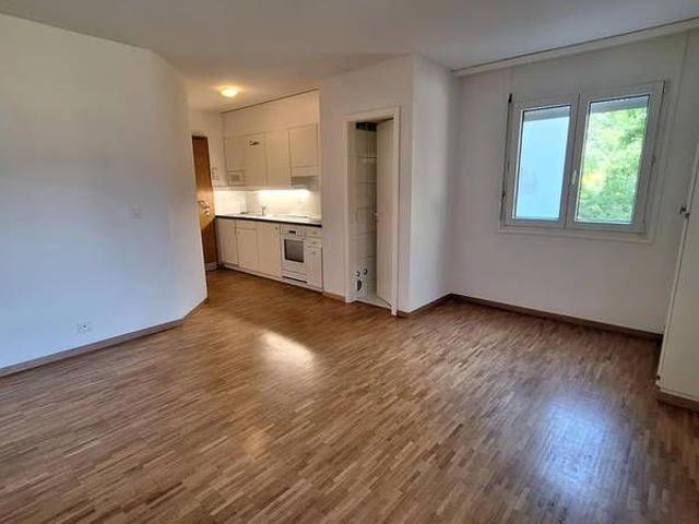 1 Zimmer, 26 m², 1. Stock