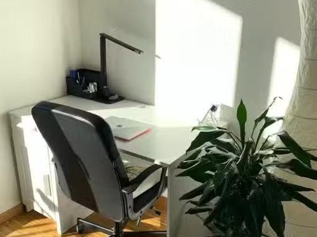 1 Zimmer 26 m² 385 € Kaltmiete Wohnungen in Freiburg im B.