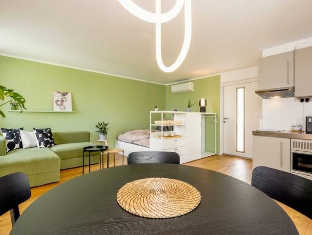 1 Zimmer, 28 m², EG