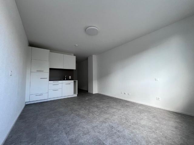 1 Zimmer, 28 m², 1. Stock