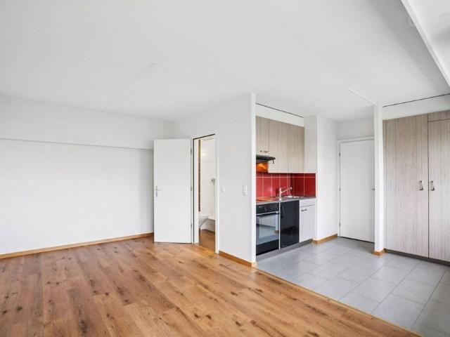 1 Zimmer, 29 m², EG