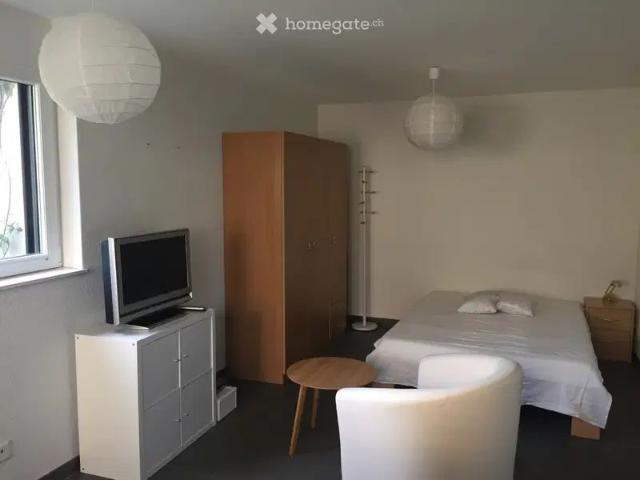 1 Zimmer, 29 m²