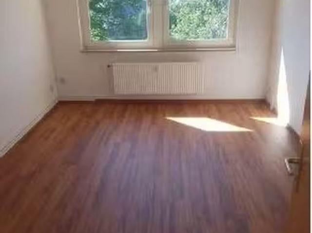 1 Zimmer 33 m² 310 € Kaltmiete Wohnungen in Neukieritzsch