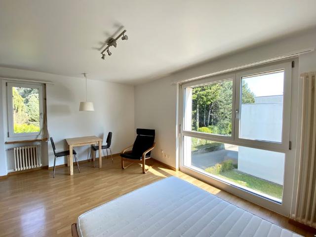 1 Zimmer, 30 m², EG