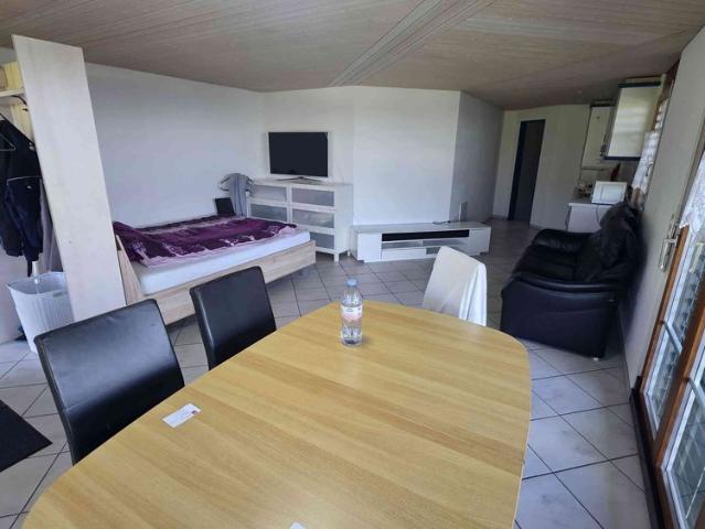 1 Zimmer, 30 m², EG