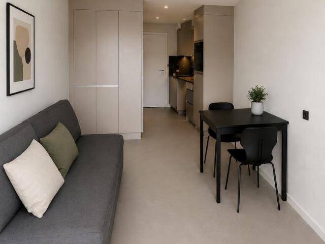 1 Zimmer, 30 m², EG