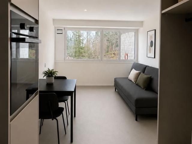 1 Zimmer, 30 m², EG
