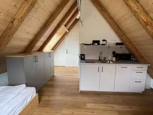 1 Zimmer 30 m² 1.300 € Kaltmiete Wohnungen in Titisee Neu.