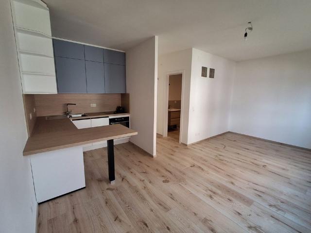 1 Zimmer, 30 m², 1. Stock