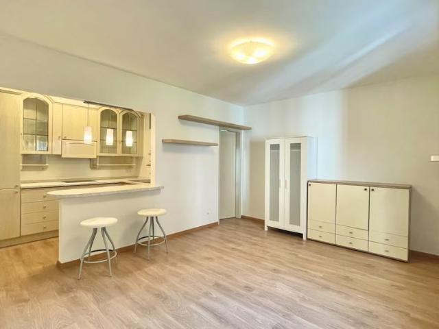 1 Zimmer, 30 m²