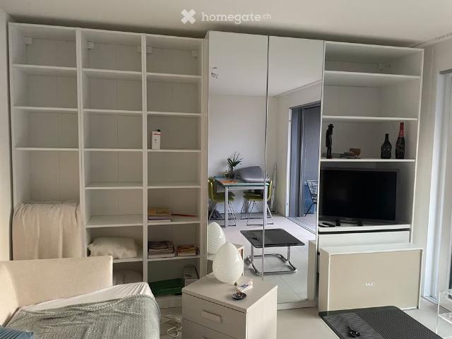 1 Zimmer, 30 m²