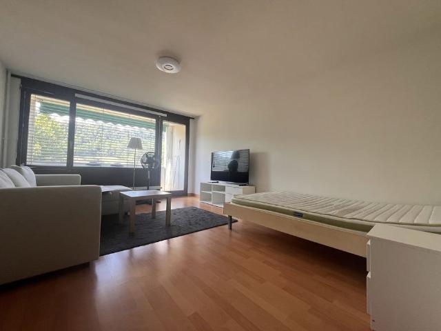1 Zimmer, 31 m²