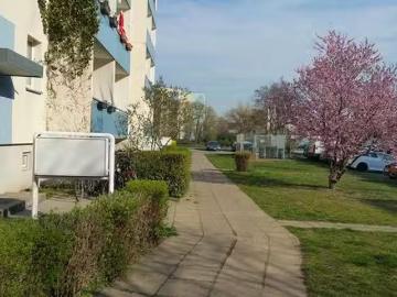 Apartment for rent in Hohenstücken