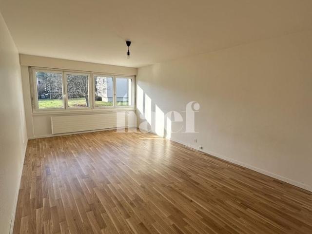 1 Zimmer, 37 m²