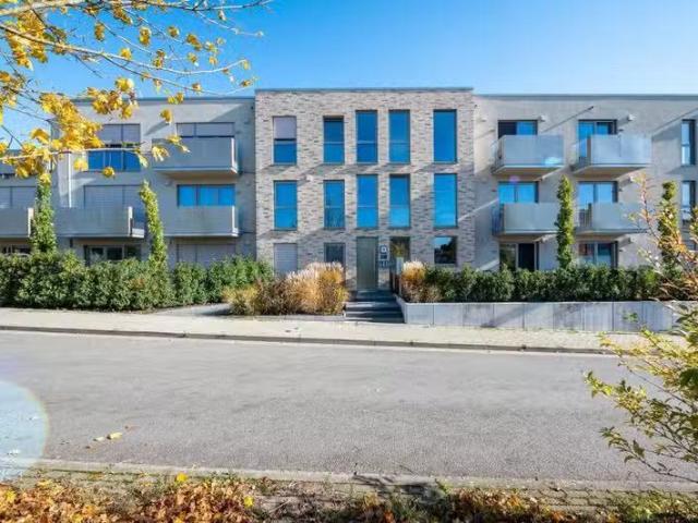 1 Zimmer 37 m² 589 € Kaltmiete Wohnungen in Osnabrück