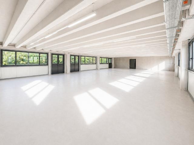 1 Zimmer, 350 m², 1. Stock
