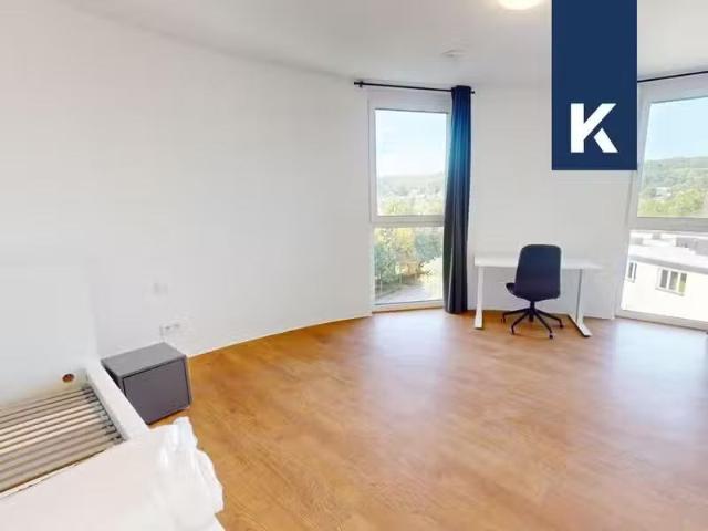 1 Zimmer 35 m² 750 € Kaltmiete Wohnungen in Aachen