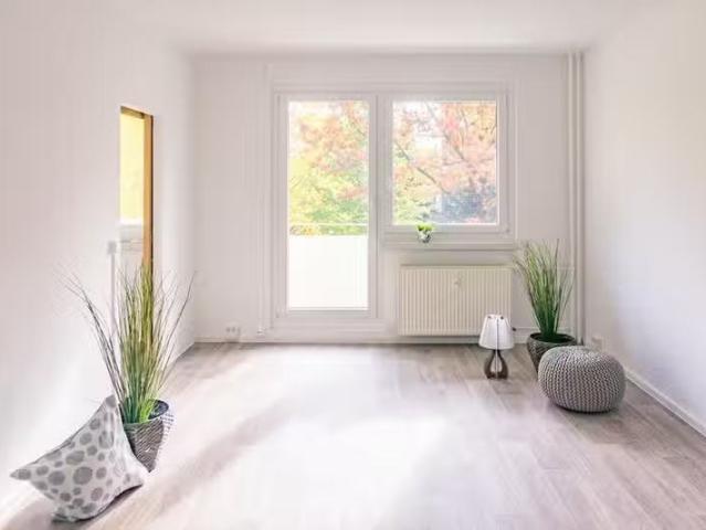 1 Zimmer 36 m² 227 € Kaltmiete Wohnungen in Chemnitz